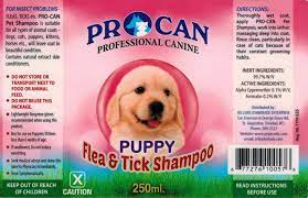 PROCAN PET PROFESSIONAL CANINE SHAMPOO 250ML - PPPCS250 Pie's Variety Store