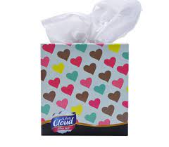 WHITE CLOUD FACIAL TISSUE 60CT - WCFT60CT Pie's Variety Store