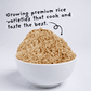 4Sisters Long Grain Organic Brown Rice, 32 oz ebuystt