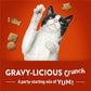 Friskies Party Mix Gravy-licious Chicken & Gravy Flavors Cat Treats 6OZ. - 05000016923 Pie's Variety Store