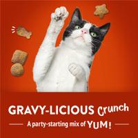 Friskies Party Mix Gravy-licious Chicken & Gravy Flavors Cat Treats 6OZ. - 05000016923 Pie's Variety Store