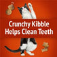 Friskies Party Mix Gravy-licious Chicken & Gravy Flavors Cat Treats 6OZ. - 05000016923 Pie's Variety Store