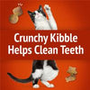 Friskies Party Mix Gravy-licious Chicken & Gravy Flavors Cat Treats 6OZ. - 05000016923