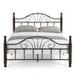 Tulip Metal Bedframe Double-HS-2103 ebuystt