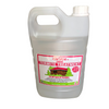 Christle Liquid Termite Treatment - 1000 mL bottle