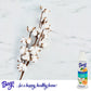 Beep Air Freshener Berry Burst 8oz - 08143335526 Pie's Variety Store