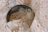 Doves Farm Organic Wholemeal Strong Bread Flour 1.5kg Carefully milled, organic, strong flour for tasty wholemeal bread baking-5011766000307
