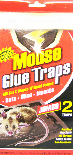 JUMBO (2PK) GLUED MOUSE TRAPS - CH89013