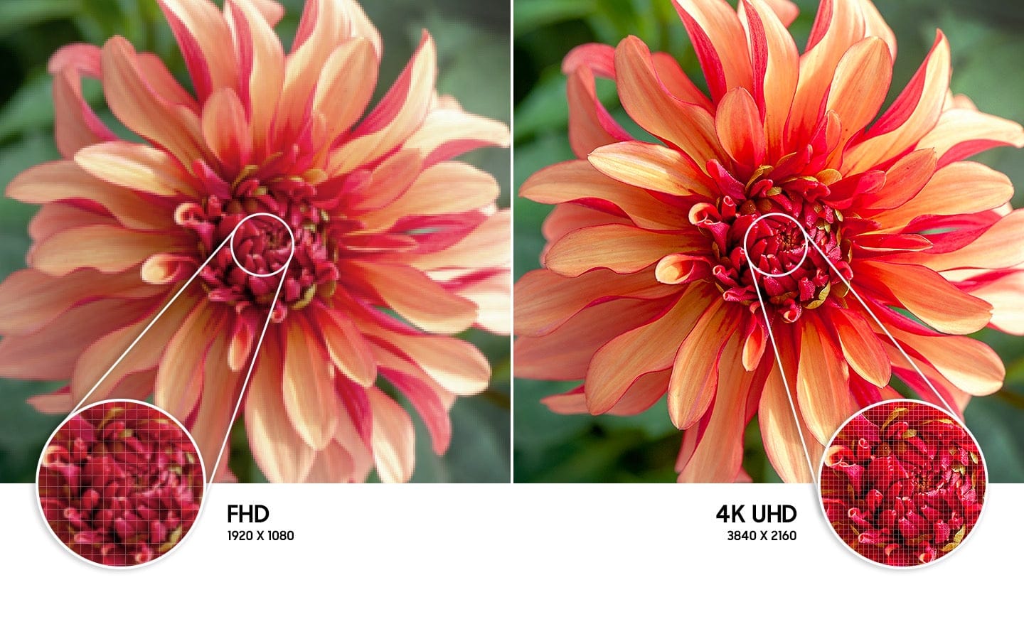Samsung Smart 4K UHD TV 43 inch UN43AU8000FXZA  Dynamic Crystal Color injects each scene with millions of vibrant shades of color, while Crystal Processor 4K with UHD Upscaling elevates all your favorite movies, games and shows to gorgeous 4K-419380