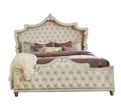 Antonella Upholstered Tufted Bed Ivory And Camel SKU: 223521KE coastmega
