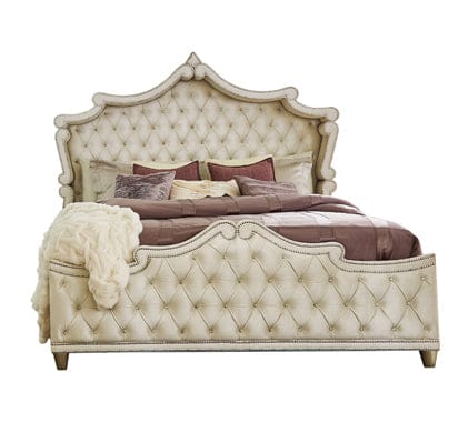 Antonella Upholstered Tufted Bed Ivory And Camel SKU: 223521KW coastmega