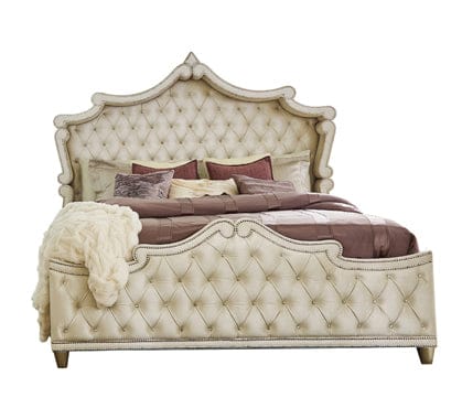 Antonella Upholstered Tufted Bed Ivory And Camel SKU: 223521KW coastmega