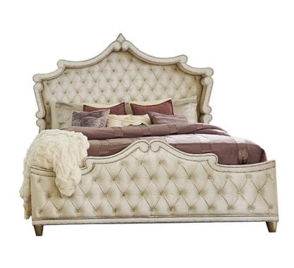 Antonella Upholstered Tufted Bed Ivory And Camel SKU: 223521KW coastmega