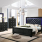 Penelope Queen Bed With LED Lighting Black And Midnight Star, Every Bedroom Instantly Becomes More Alluring With This LED Light-Up Bed, This Piece Is Supported On Bracket Style Feet And Made From Quality Asian Hardwood.  SKU: 223571Q coastmega