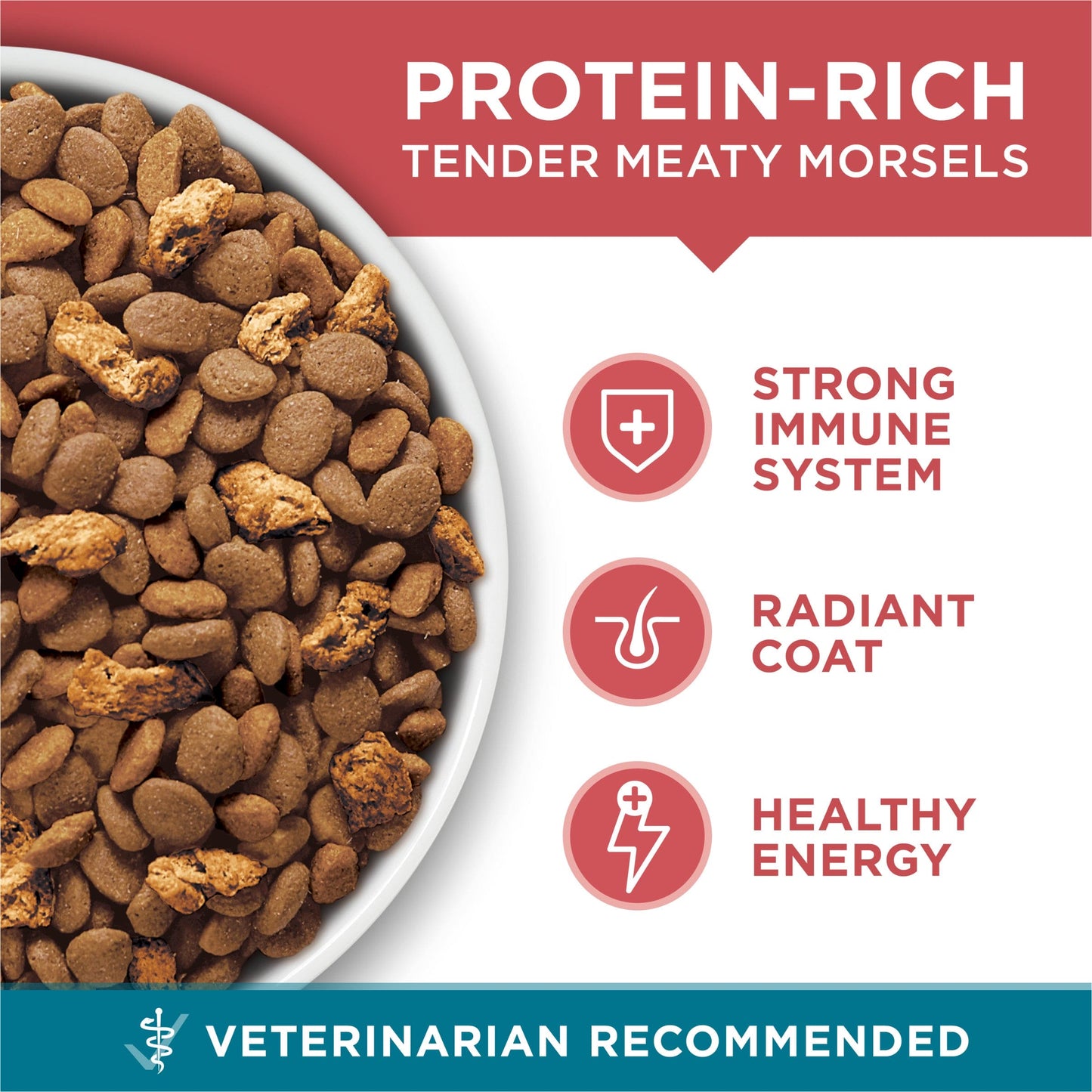 PURINA ONE HEALTHY KITTEN FORMULA 3.5LB - POHKF35 Pie's Variety Store