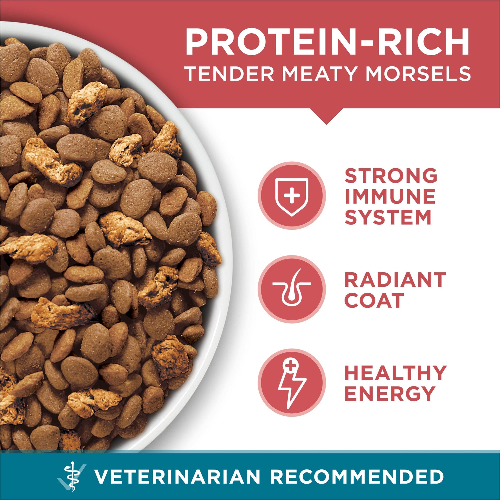 PURINA ONE HEALTHY KITTEN FORMULA 3.5LB - POHKF35 Pie's Variety Store