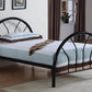 Marjorie Twin Bed Black - 2389B A-Z Store Nadia