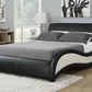 Niguel Eastern King Upholstered Bed Black And White - 300170KE A-Z Store Nadia
