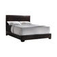 Conner Twin Upholstered Panel Bed Dark Brown - 300261T A-Z Store Nadia