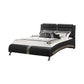 Jeremaine Eastern King Upholstered Bed Black - 300350KE A-Z Store Nadia