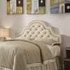 Ojai Queen And Full Tufted Upholstered Headboard Beige - 300442QF