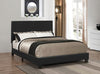 Muave Twin Upholstered Bed Black - 300558T