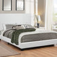 Muave Queen Upholstered Bed White - 300559Q A-Z Store Nadia