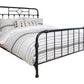 Packlan Queen Metal Panel Bed Matte Black - 305946Q A-Z Store Nadia