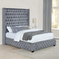 Rocori Queen Wingback Tufted Bed Grey - 306075Q A-Z Store Nadia