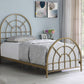 Kenyon Metal Twin Arched Bed Gold - 315821T A-Z Store Nadia