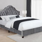 Abbeville Queen Upholstered Bed With Arched Headboard Grey - 315891Q A-Z Store Nadia