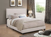 Boyd Queen Upholstered Bed With Nailhead Trim Ivory - 350051Q