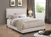 Boyd Twin Upholstered Bed With Nailhead Trim Ivory - 350051T