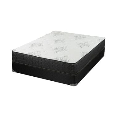 Freya 11.5″ Twin Mattress White And Black - 350372T A-Z Store Nadia