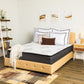 Freya Queen Mattress Grey - 350373Q A-Z Store Nadia