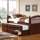 Twin Captain’s Bed With Trundle And Drawers Chestnut - 400381T A-Z Store Nadia