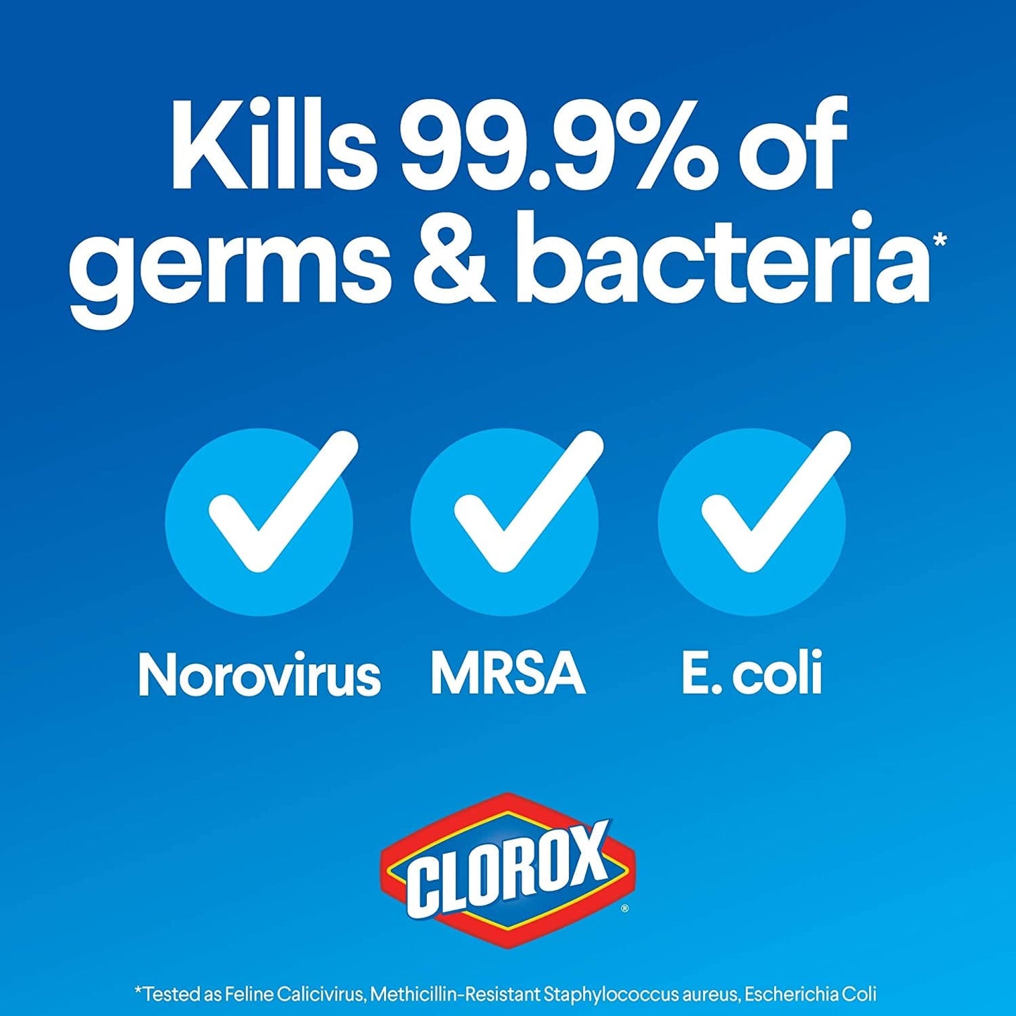 CLOROX BLEACH HALF GAL 2L - CBHG2L Pie's Variety Store