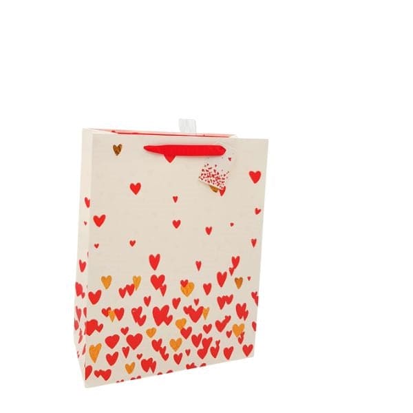 Gift Bag (3XL) for Birthdays, Graduations, Baby Showers, Father's Day and Much More - Designed to suit simple yet stylish needs, this gift bag is perfect for giving books, or larger items - 82064614890 Pie's Variety Store