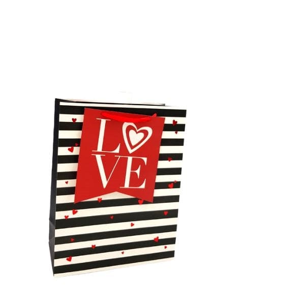 Gift Bag (3XL) for Birthdays, Graduations, Baby Showers, Father's Day and Much More - Designed to suit simple yet stylish needs, this gift bag is perfect for giving books, or larger items - 82064614890 Pie's Variety Store