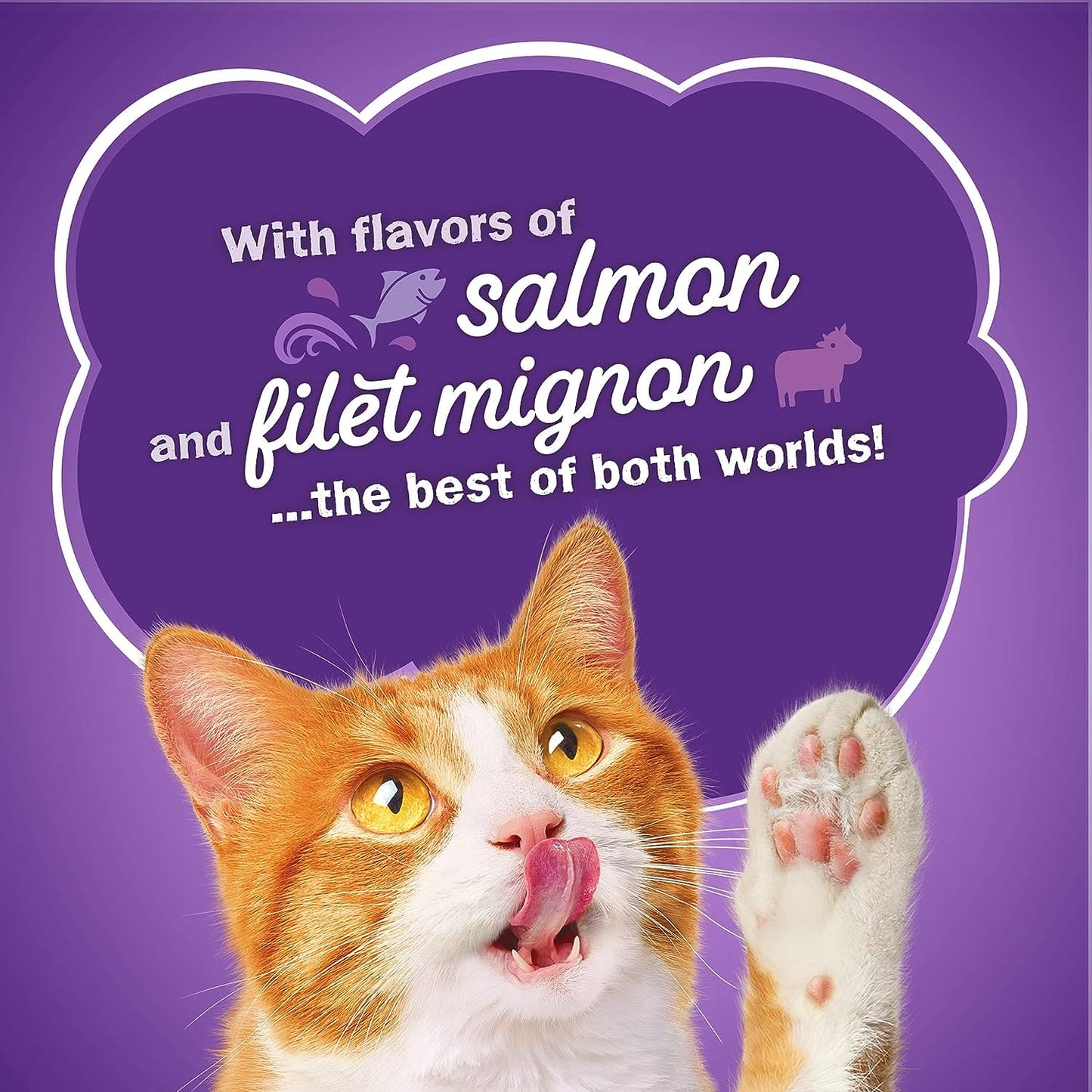 PURINA FRISKIES DRY CAT FOOD INDOOR DELIGHT 3.15LB - PFID315 Pie's Variety Store