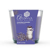 AIRECARE AROMA DOUBLE WICK CANDLE FLORAL DREAM 1CT - AADWCFD1CT