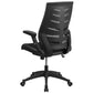 High Back Designer Black Mesh Executive Swivel Ergonomic Office Chair with Height Adjustable Flip-Up Arms [BL-ZP-809-BK-GG] A-Z Store Nadia