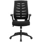 High Back Designer Black Mesh Executive Swivel Ergonomic Office Chair with Height Adjustable Flip-Up Arms [BL-ZP-809-BK-GG] A-Z Store Nadia