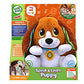 LEAP FROG Speak & Learn Puppy: Talk and play with the plush puppy that talks back and teaches about numbers, letters and emotions - 80-610103 ebuystt
