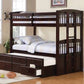 Kensington Twin Over Twin Bunk Bed With Trundle Cappuccino - 460071 A-Z Store Nadia