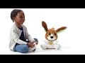 LEAP FROG Speak & Learn Puppy: Talk and play with the plush puppy that talks back and teaches about numbers, letters and emotions - 80-610103 ebuystt