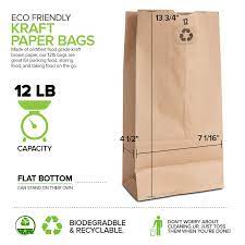 Brown Paper Lunch Bags, Paper Grocery Bags, Durable Kraft Paper Bags 10lb 100 Pack-  These multipurpose bags can hold canned foods, sandwiches and just about anything - 43100001004 Pie's Variety Store