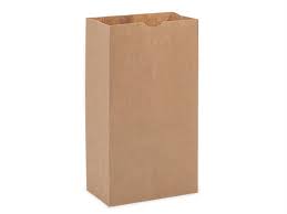 Brown Paper Lunch Bags, Paper Grocery Bags, Durable Kraft Paper Bags 10lb 100 Pack-  These multipurpose bags can hold canned foods, sandwiches and just about anything - 43100001004 Pie's Variety Store