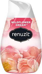RENUZIT ADJUSTABLES AIR FRESHENER AFTER THE RAIN SOLID 7.5OZ - RAAFATRS75 Pie's Variety Store