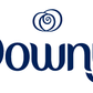 DOWNY FABRIC SOFTENER DRYER SHEETS APRIL FRESH 34CT - DFSDSAF34CT Pie's Variety Store